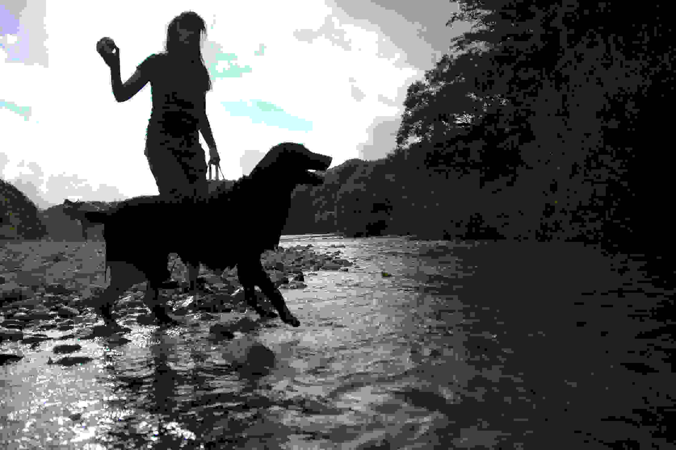 ふわふわトリミング