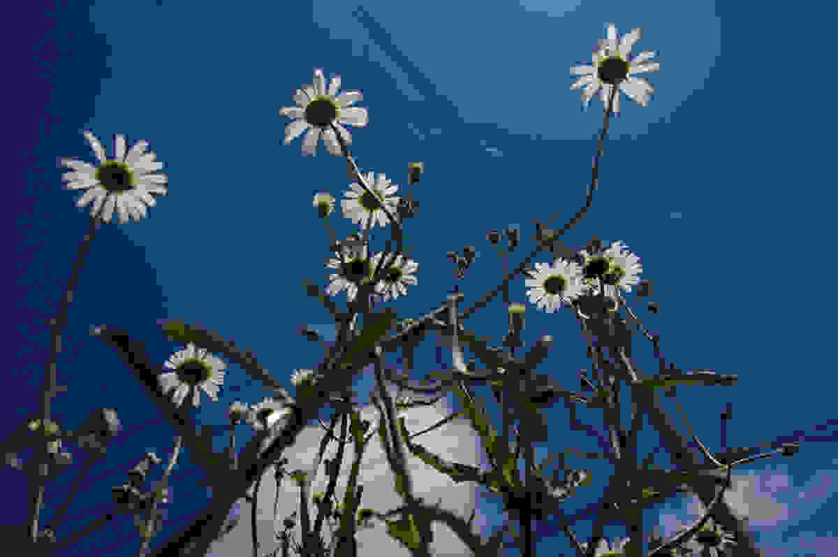 タラソテラピー炭酸バス効果